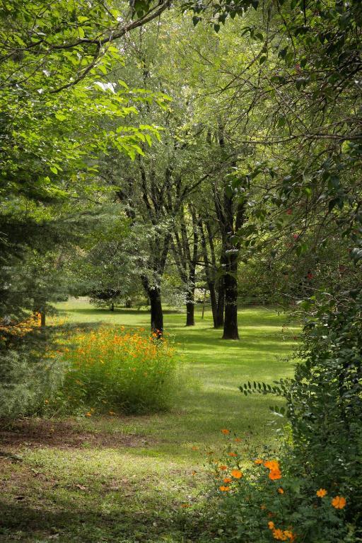 Cabanas Am Bach Villa General Belgrano Εξωτερικό φωτογραφία